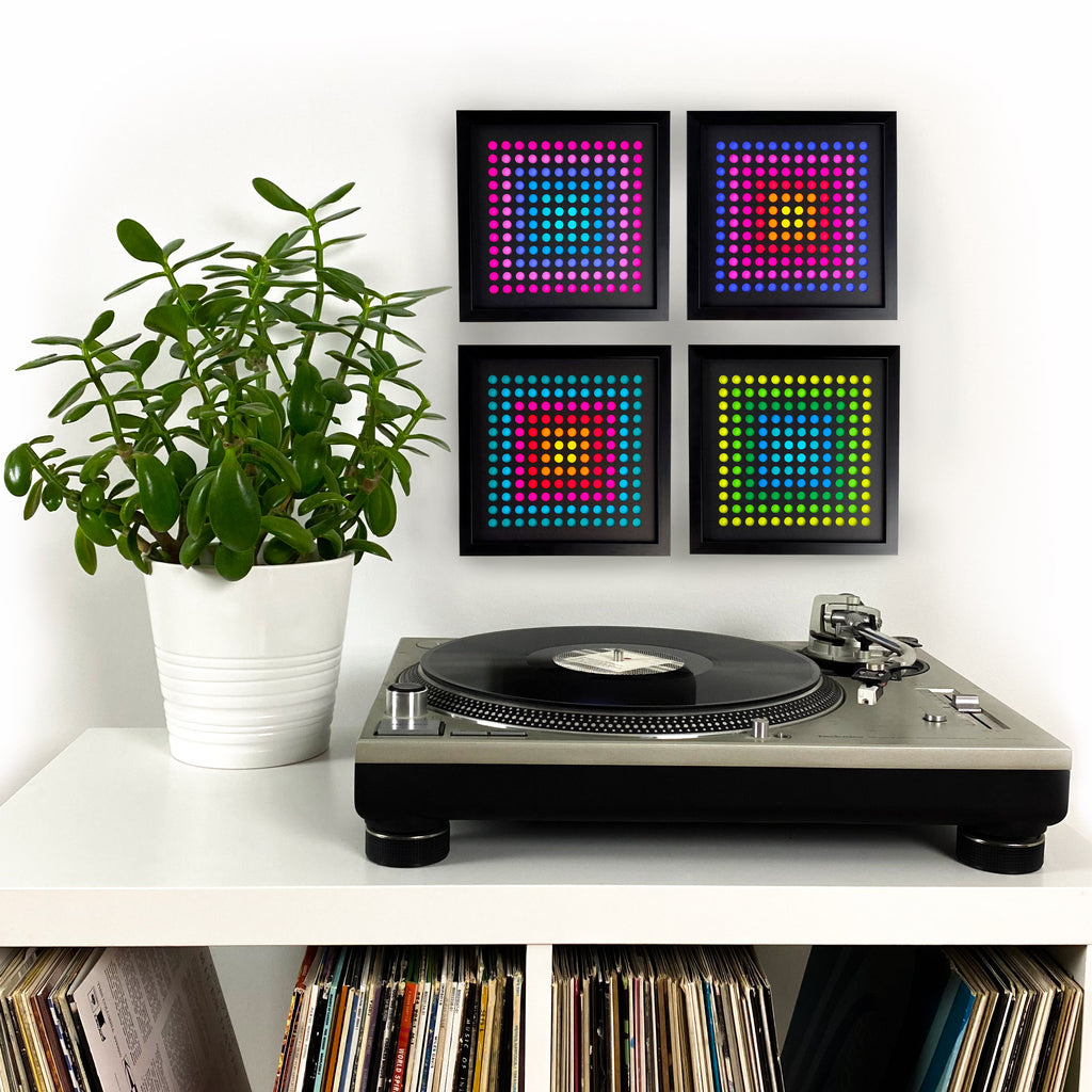 Trippy dots turntable plant